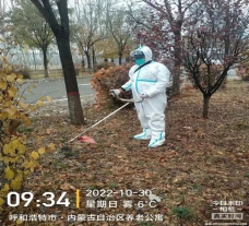 &#24320;&#20113;